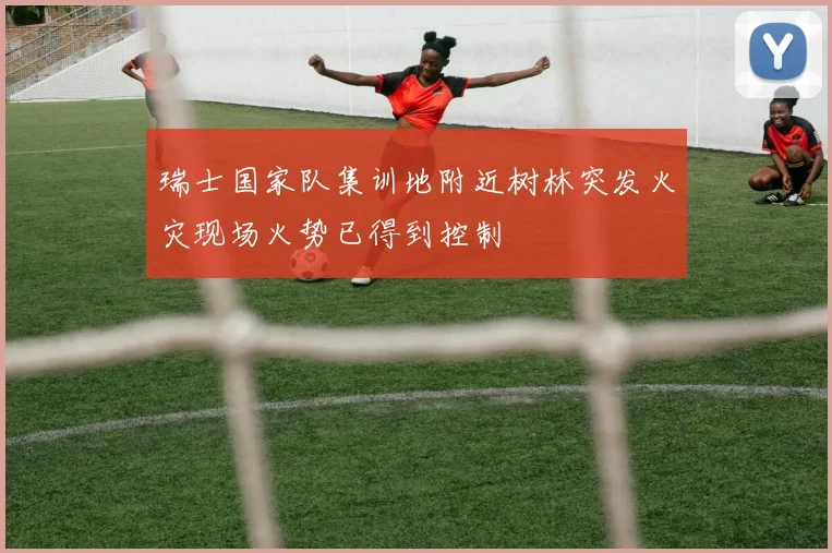 瑞士国家队集训地附近树林突发火灾现场火势已得到控制