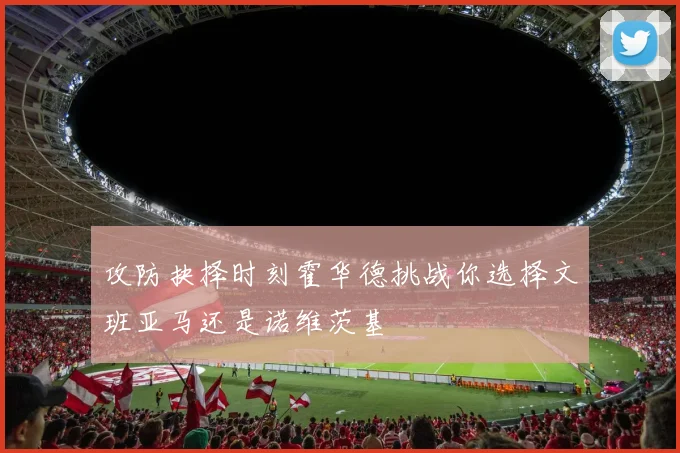攻防抉择时刻霍华德挑战你选择文班亚马还是诺维茨基